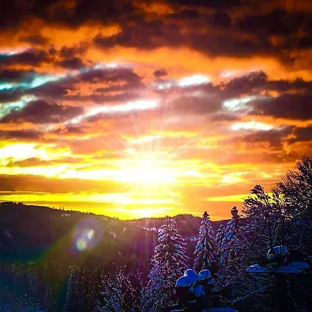 Värdshus Auerhahn 2*